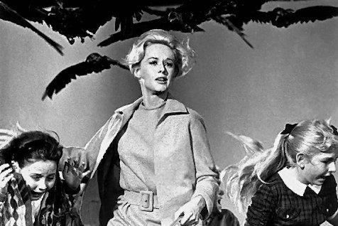 Melanie (Tippi Hedren) og hennes elever blir angrepet av de ondskapsfulle måkene i Alfred Hitchcocks "The Birds".